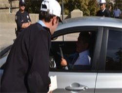 Emniyet kemeri takana çiçek