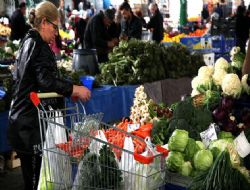 Alışveriş arabası pazara girdi