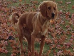 ‘Savcılıktan karar al öyle gel'