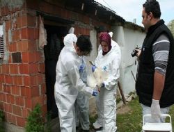 Köy tavukçuluğu kayda alınıyor