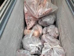 Kaçak ete suçüstü