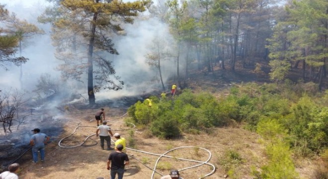Akseki ve Ezine'deki yangınlar kontrol altında