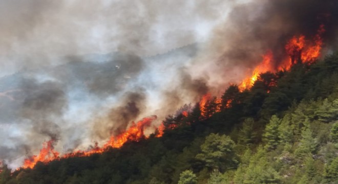 Alevler Gündoğmuş'ta Karaisa köyüne ulaştı
