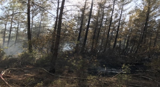 Antalya'da orman yangını