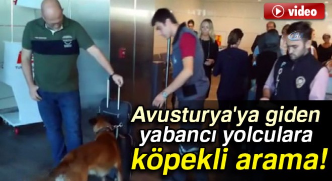 Avusturya'ya giden yabancı yolculara köpekli arama!
