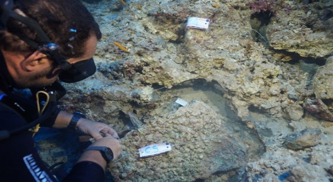 Bakan Ersoy: Akdeniz'in derinliklerinden 3 bin 600 yıllık sır gün ışığına kavuştu