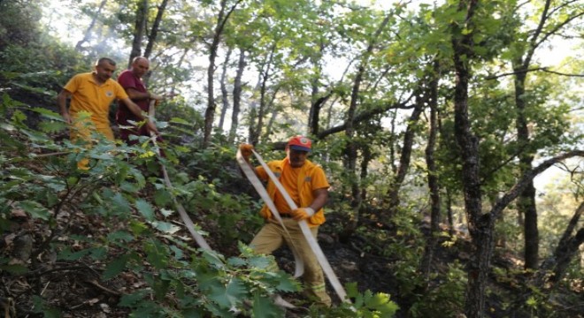 Bitlis'teki orman yangını kontrol altında