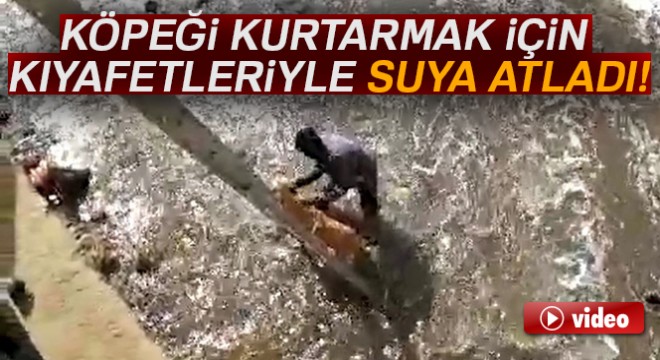 Dereye düşen sokak köpeğini kurtarmak için kıyafetleriyle suya girdi