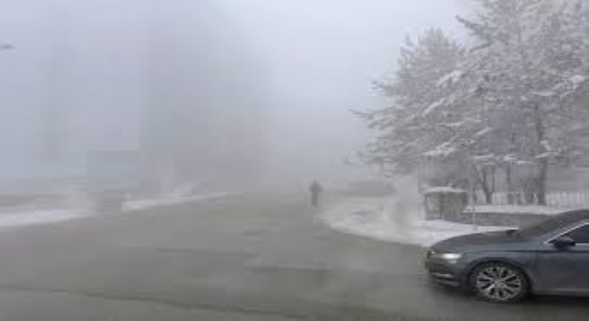 Doğu Anadolu'da Soğuk, Sis ve Kırağı Etkili