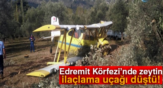 Edremit Körfezi'nde zeytin ilaçlama uçağı düştü!