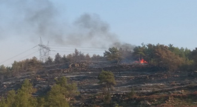 Gündoğmuş'taki orman yangınına havadan ve karadan müdahale ediliyor