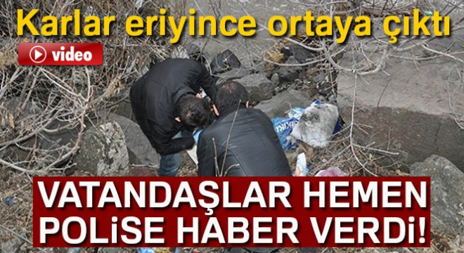 Havaların sıcak gitmesiyle birlikte kar eriyince ortaya çıktı