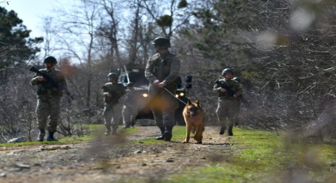 Hudutta yakalanan 17 kişiden 11'inin FETÖ üyesi olduğu belirlendi