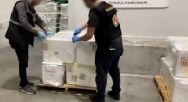 İstanbul Havalimanı'nda 455 Kilo Uyuşturucu Yakalandı