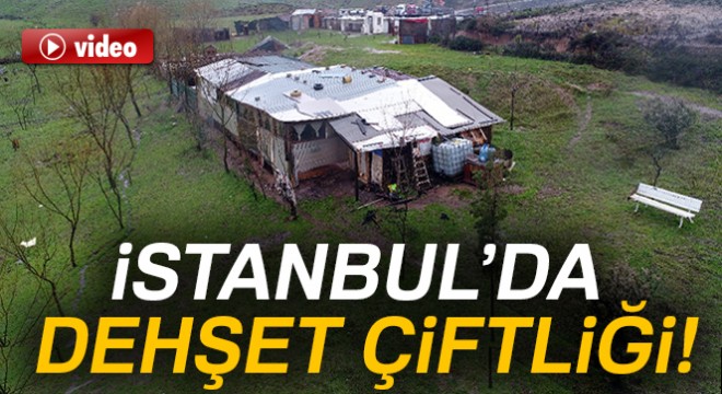 İstanbul'da dehşet çiftliği!