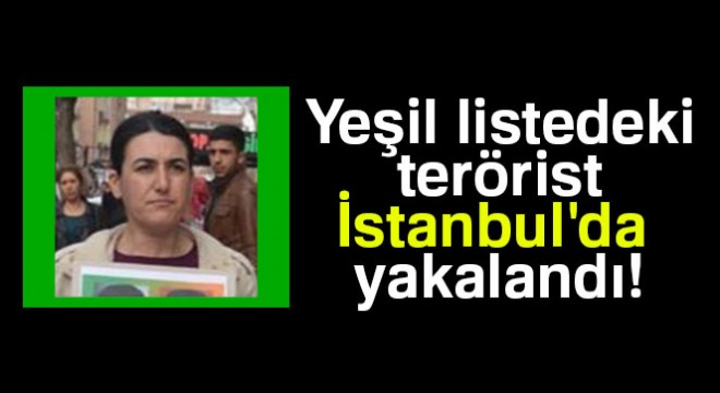 İstanbul'da yeşil listedeki terörist yakalandı