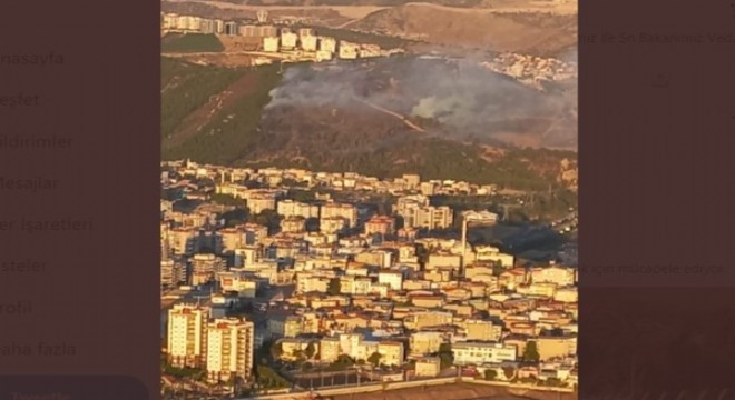 İzmir'de orman yangını