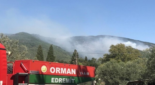 Kaz Dağları'ndaki yangına karadan müdahale başladı