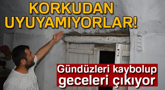 Korkudan uyuyamıyorlar! Hava kararınca kabus başlıyor