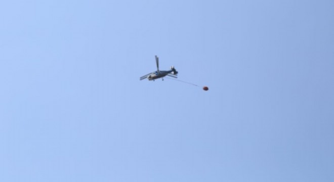 Muğla, Milas ve Bodrum'da orman yangını