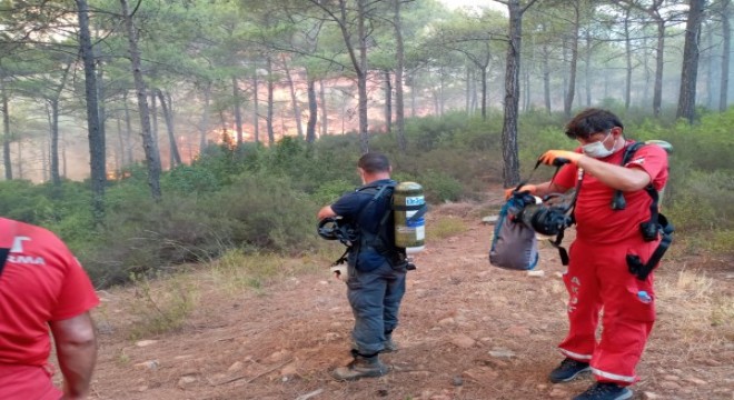 Muğla'daki 2 yangın kontrol altında