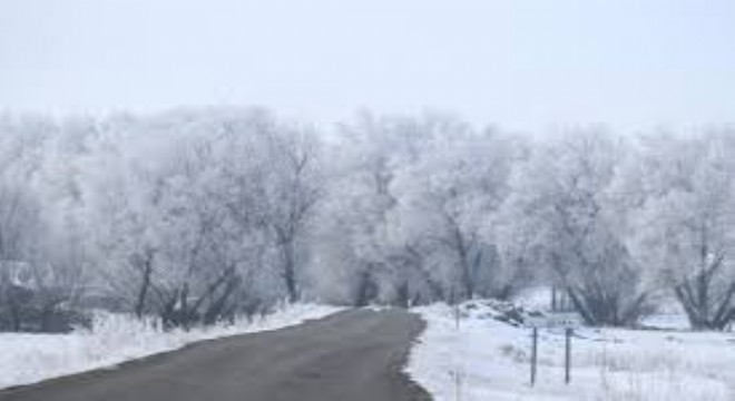 Soğuk Hava Hayatı Dondurdu