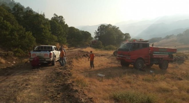 Tunceli'deki orman yangınları