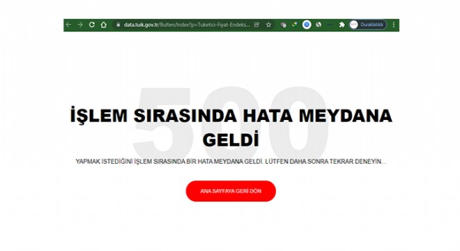 TÜİK'in sitesi çöktü