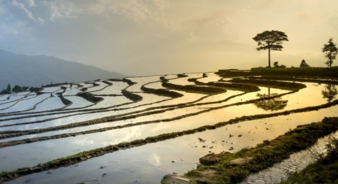Vietnam'da sel felaketi