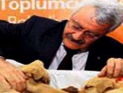 Çankaya'dan hayvan seferberliği