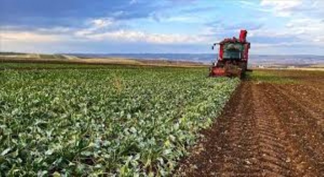 Çiftçilere 5,9 Milyar Liralık Destek Ödemesi Başladı
